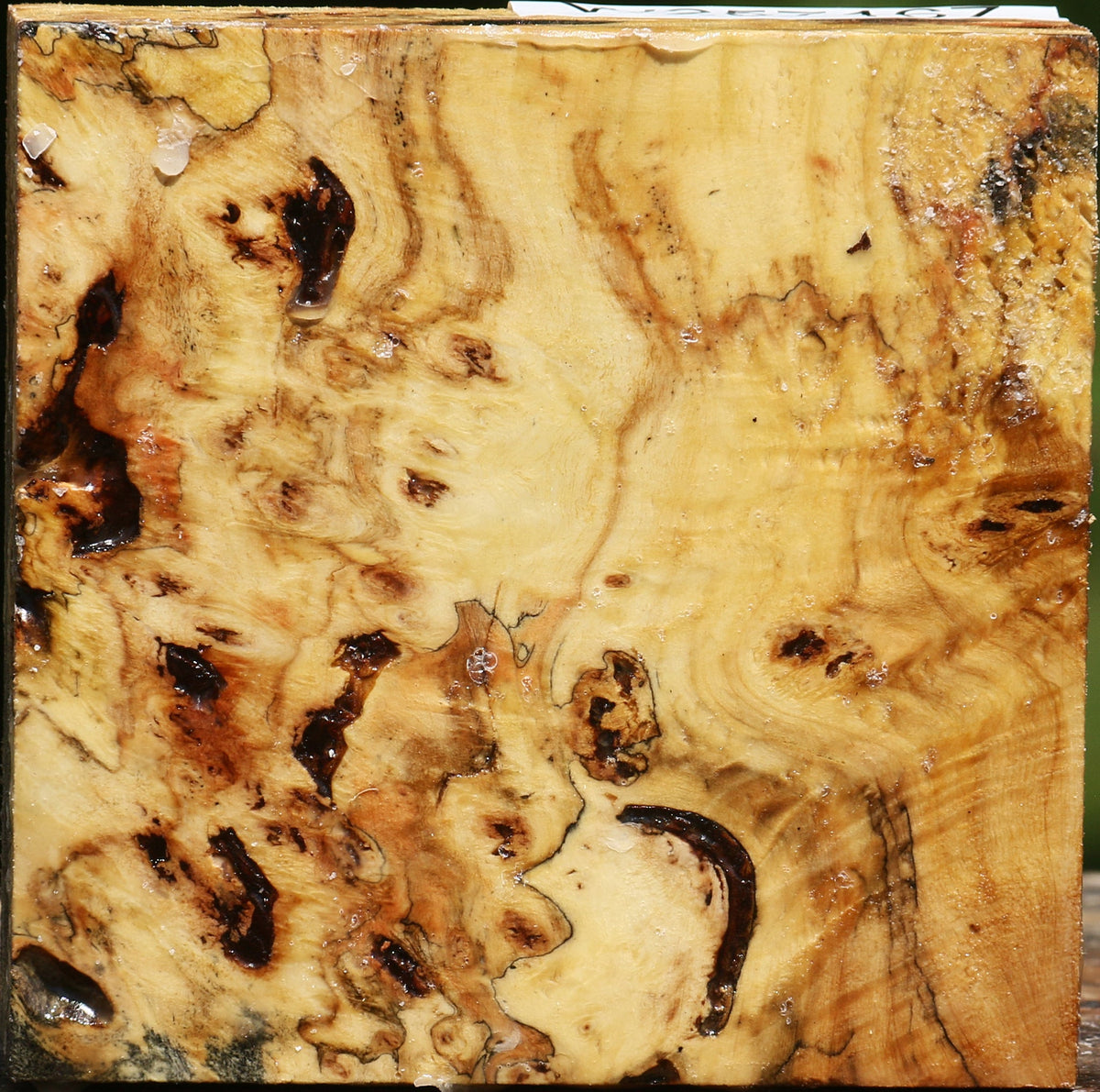 Buckeye Burl Bowl Blank