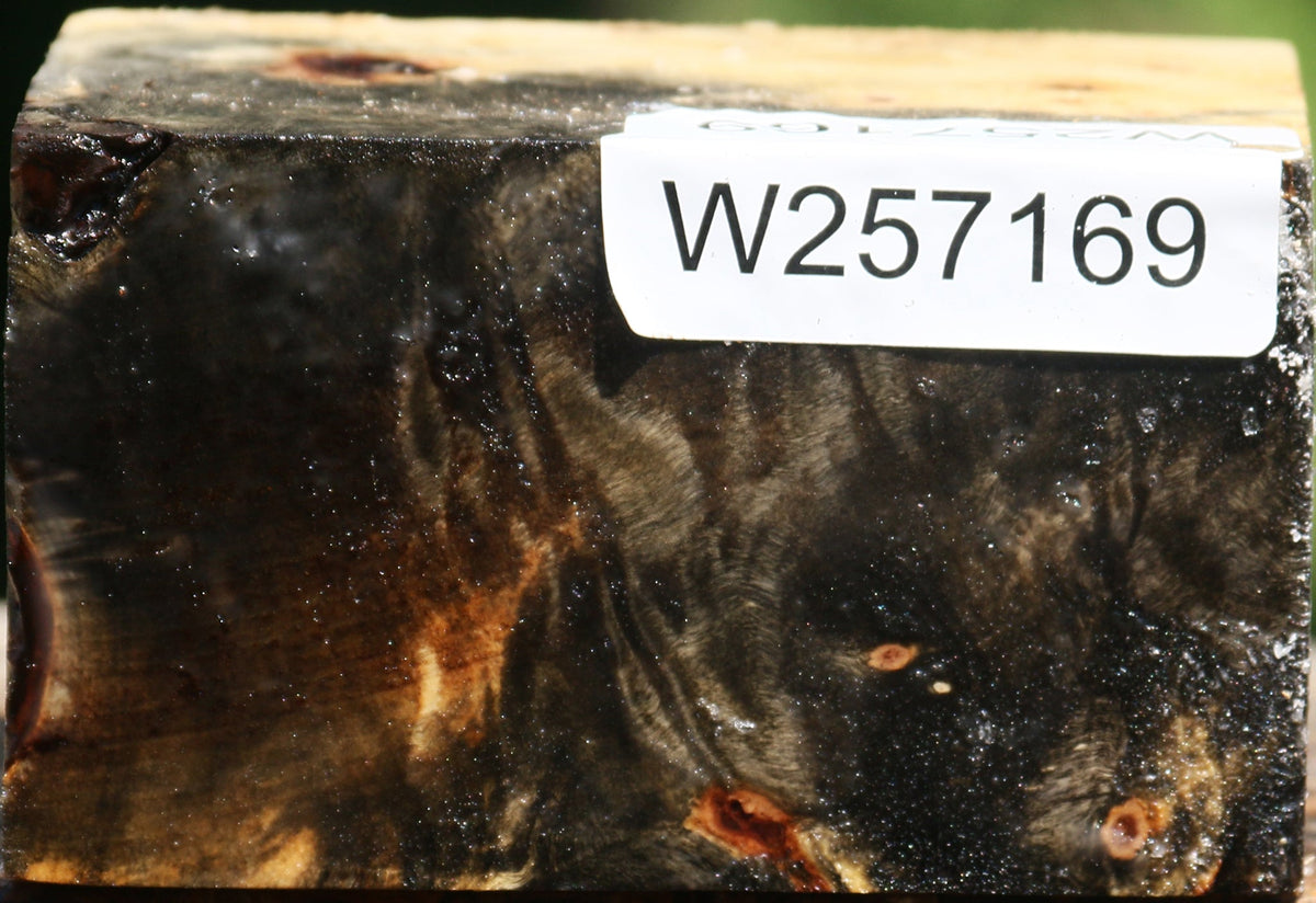 Buckeye Burl Bowl Blank