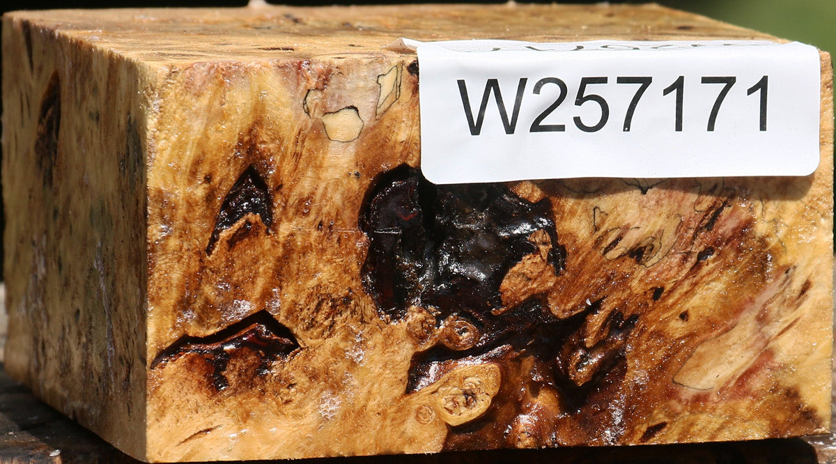 Buckeye Burl Bowl Blank