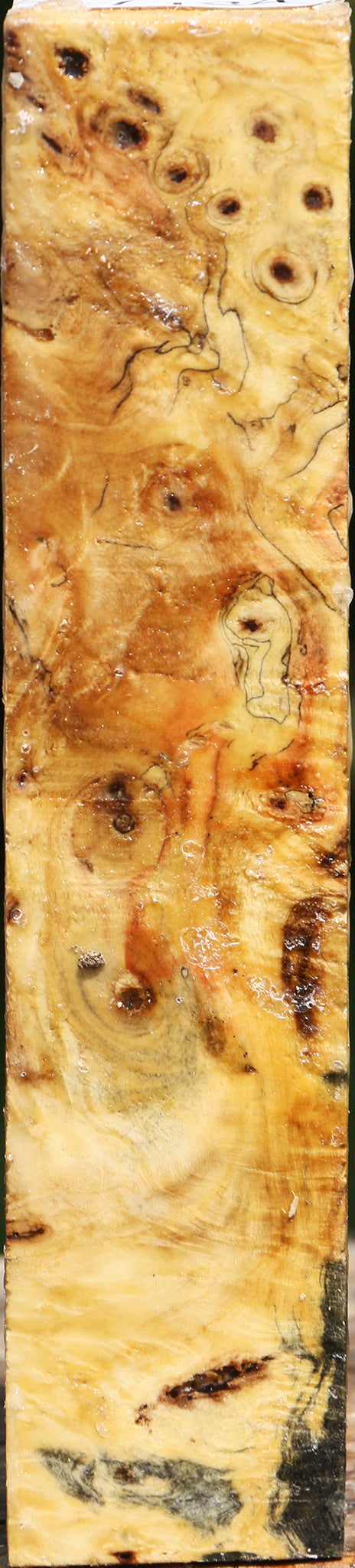 Buckeye Burl Turning Square