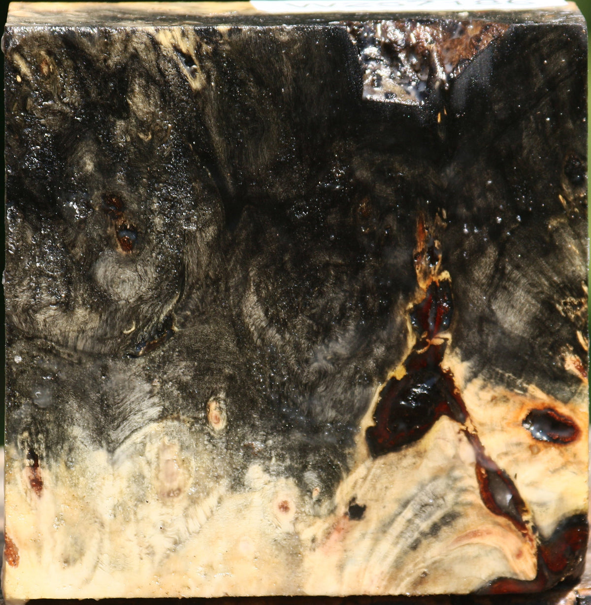 Buckeye Burl Bowl Blank