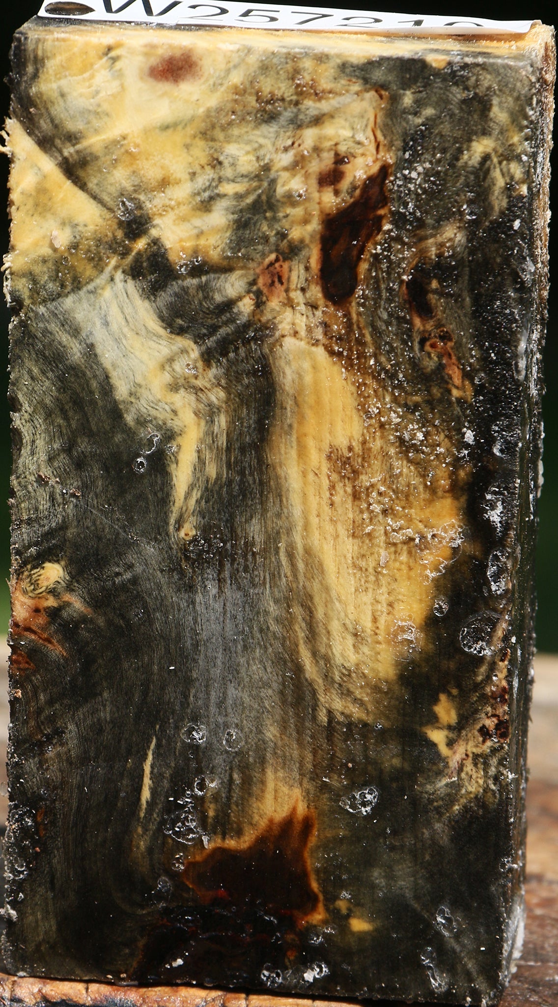 Buckeye Burl Lumber