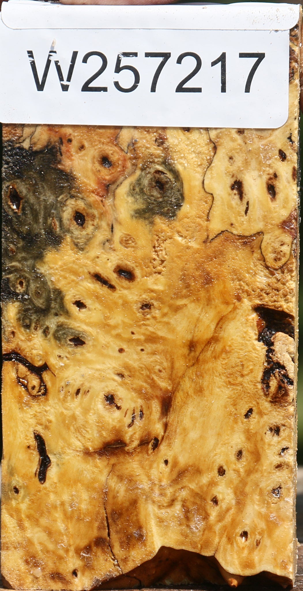 Buckeye Burl Lumber