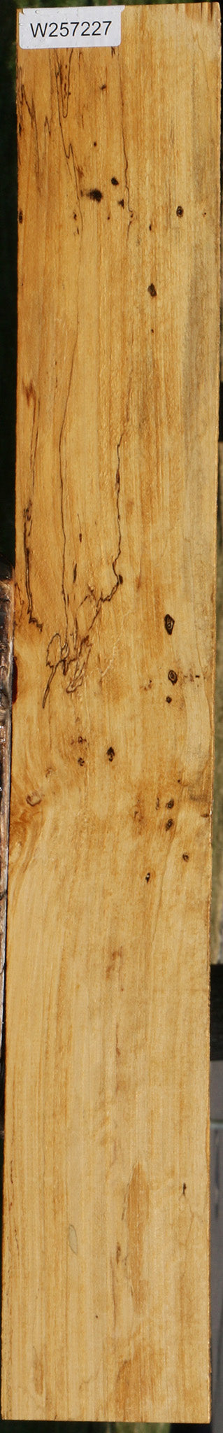 Spalted Tamarind Lumber