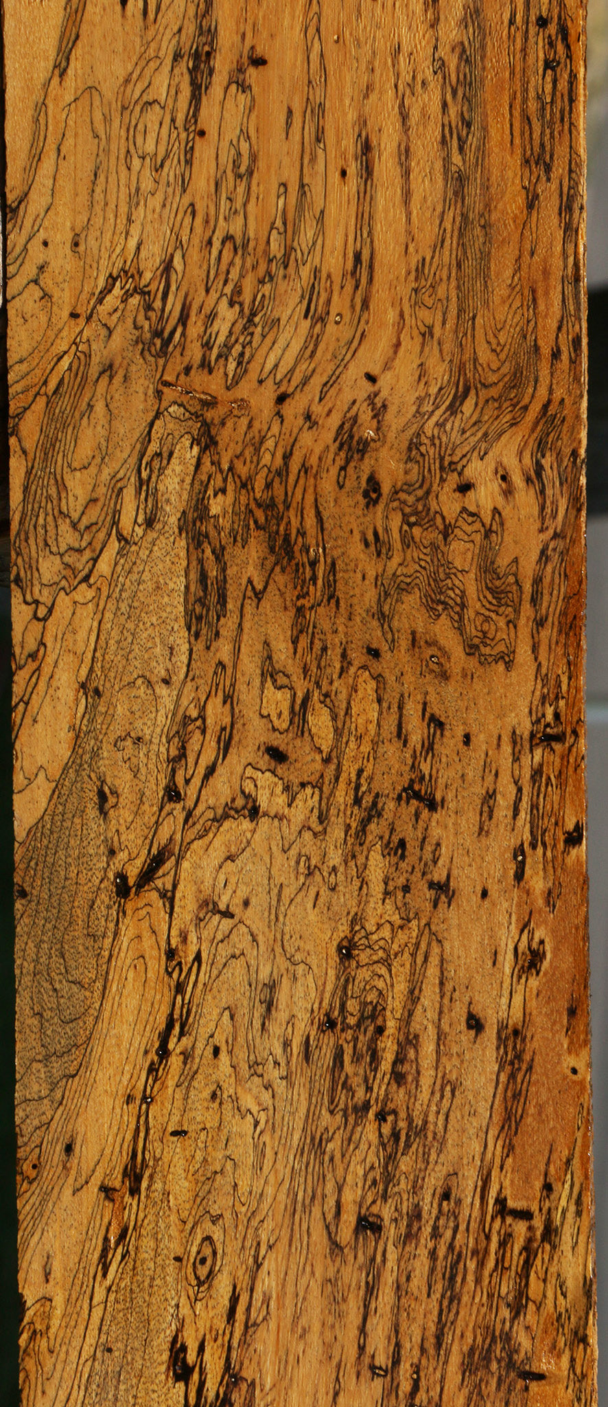 Extra Fancy Spalted Tamarind Lumber