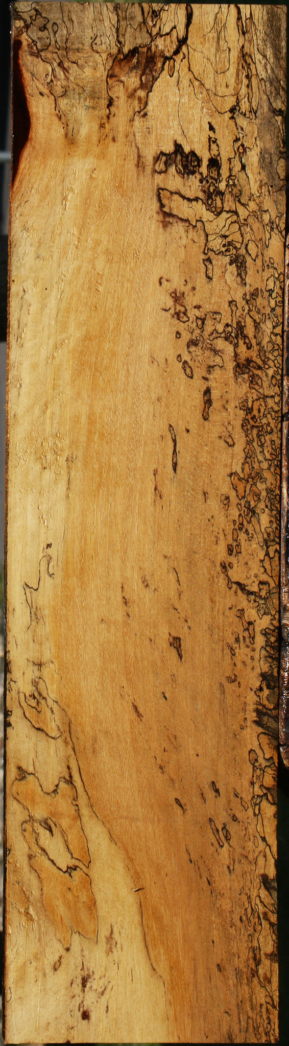 Figured Spalted Tamarind Lumber