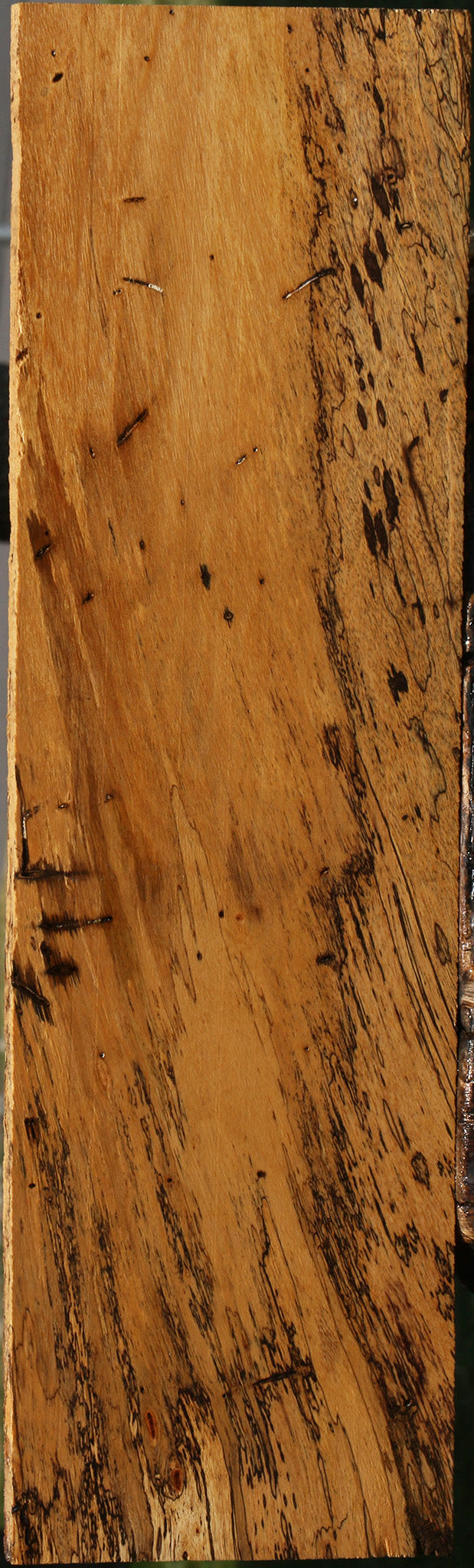 Extra Fancy Spalted Tamarind Lumber