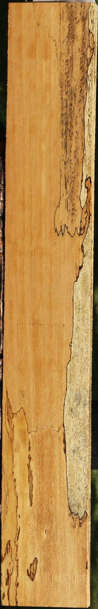 Extra Fancy Spalted Tamarind Lumber