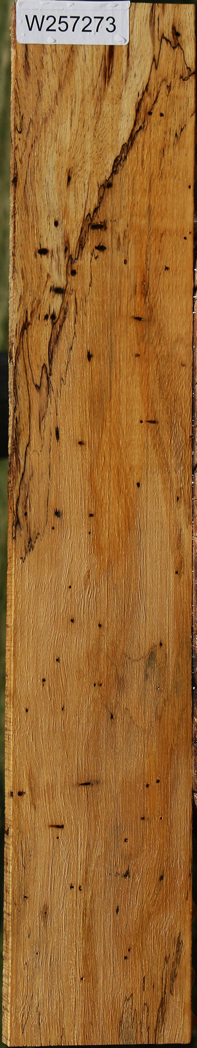Spalted Tamarind Lumber