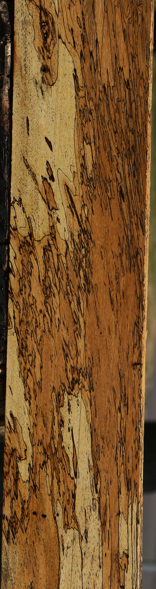 Extra Fancy Spalted Tamarind Lumber