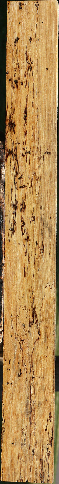 Figured Spalted Tamarind Lumber