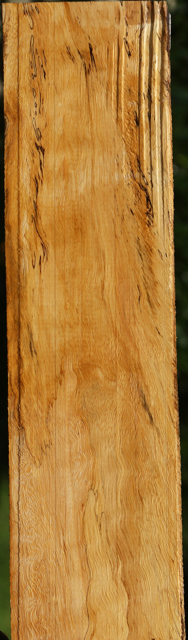 Spalted Tamarind Lumber