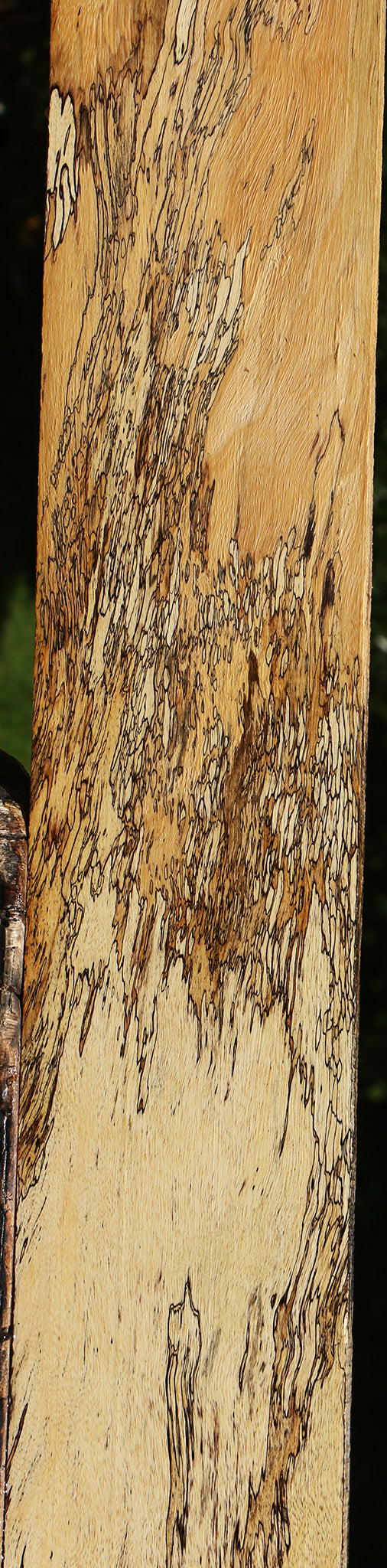 Extra Fancy Spalted Tamarind Lumber