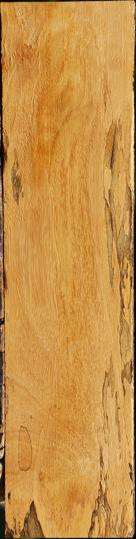 Spalted Tamarind Lumber