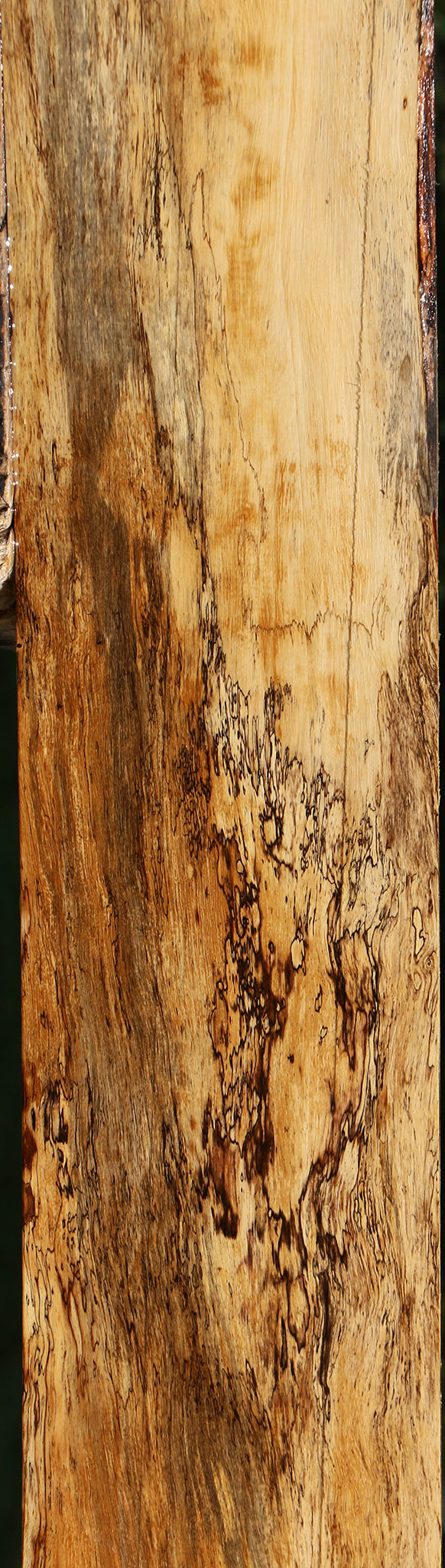 Figured Spalted Tamarind Lumber