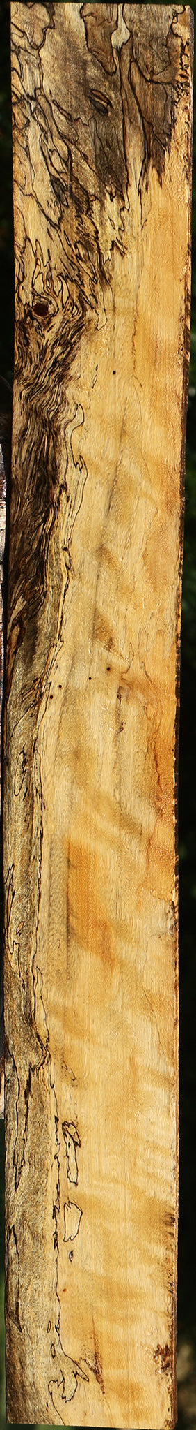 Figured Spalted Tamarind Lumber