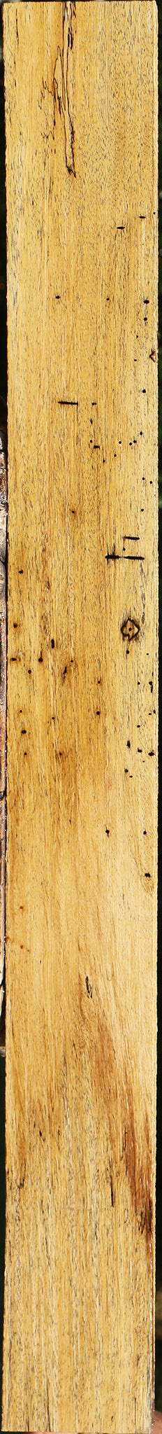 Spalted Tamarind Lumber