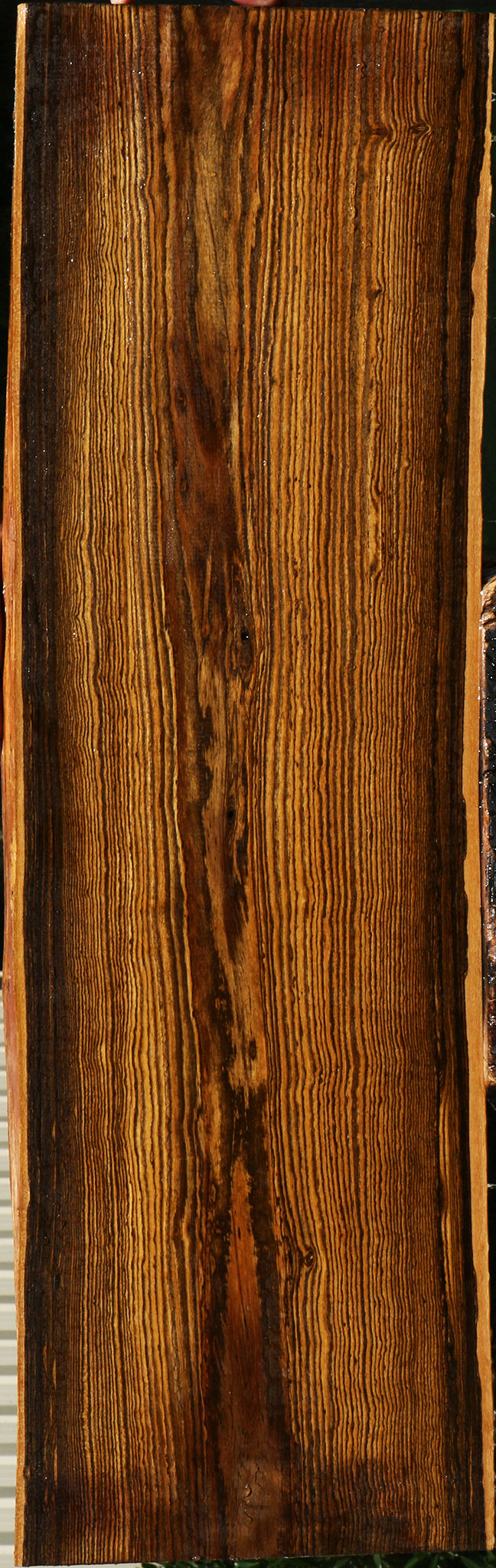 Bocote Live Edge Lumber