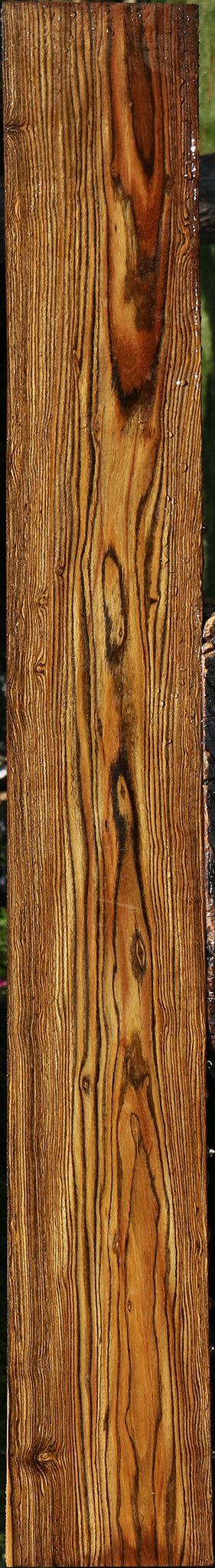 Bocote Lumber
