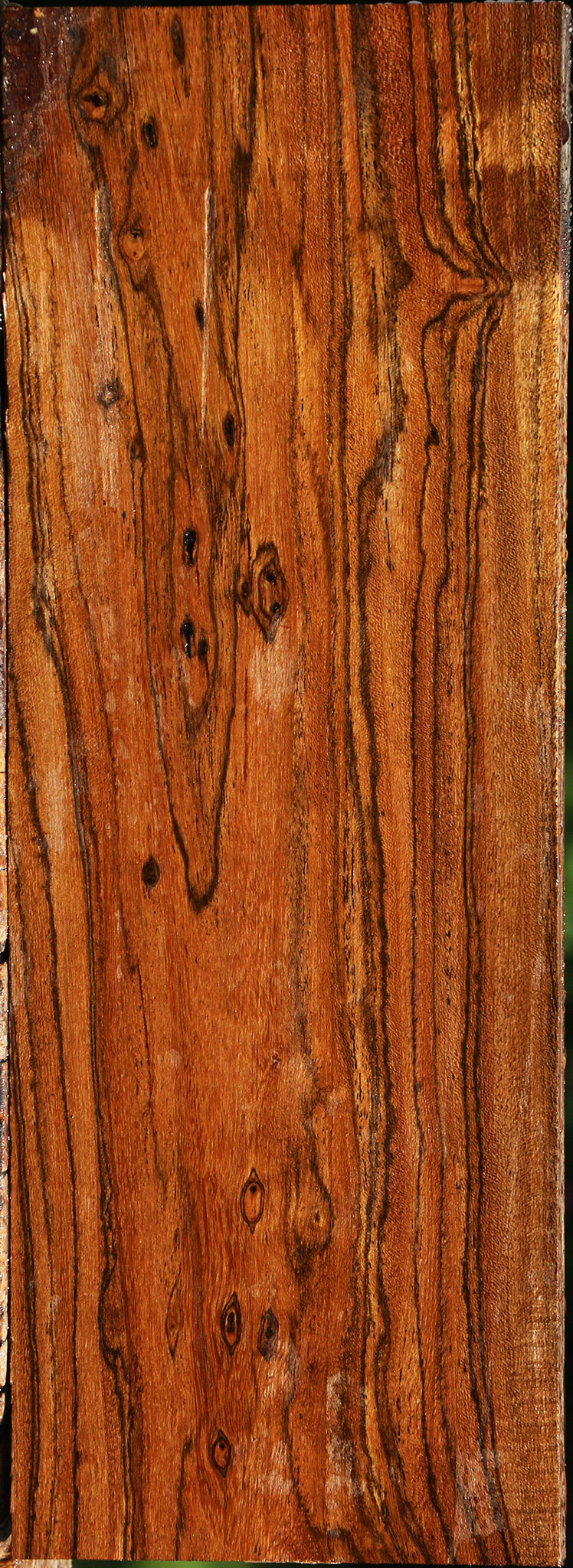 Bocote Lumber