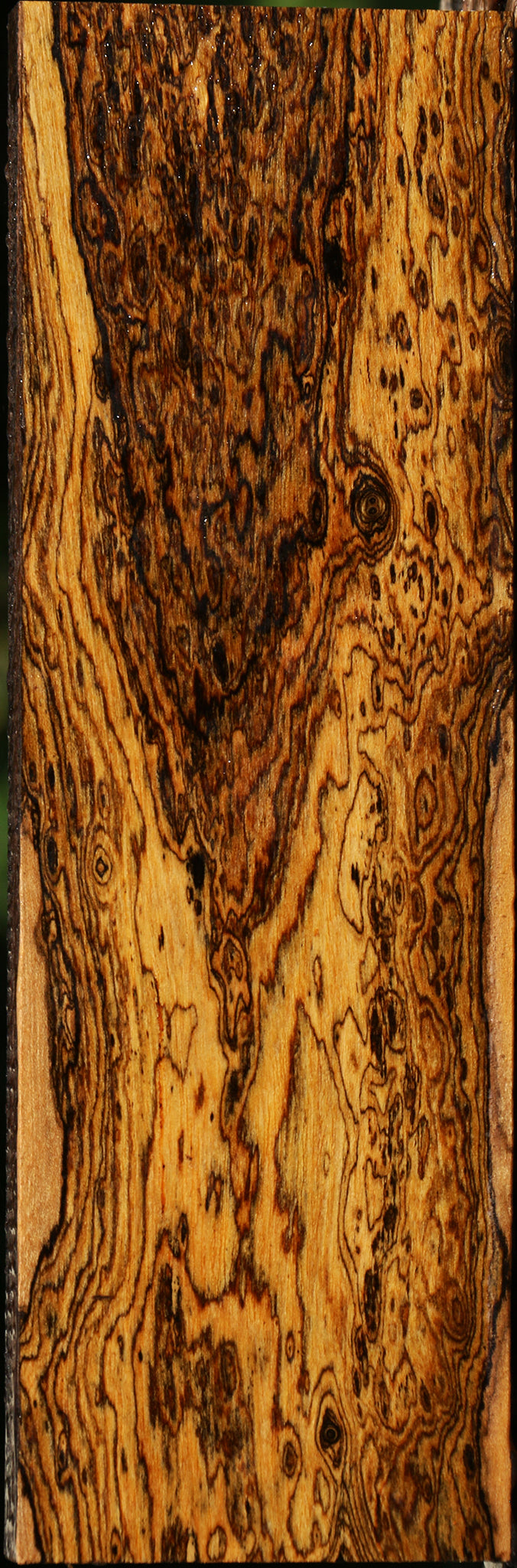 Exhibition Bocote Lumber