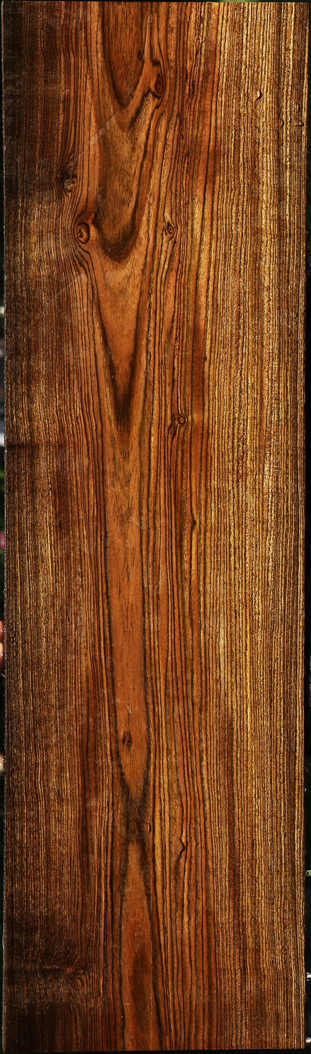 Bocote Lumber