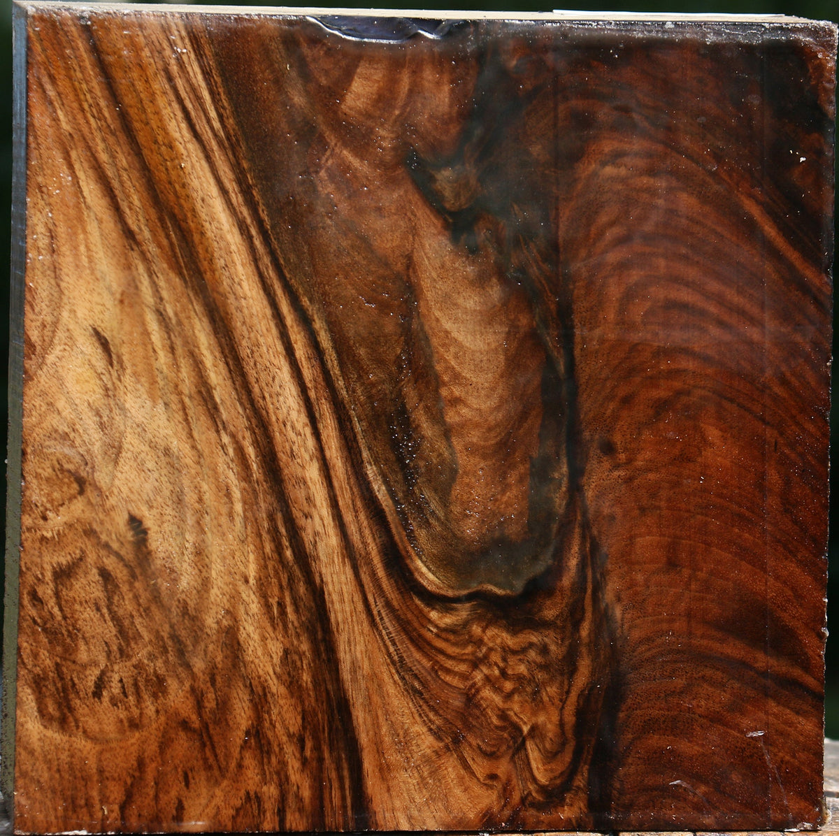 Exhibition English Walnut Bowl Blank