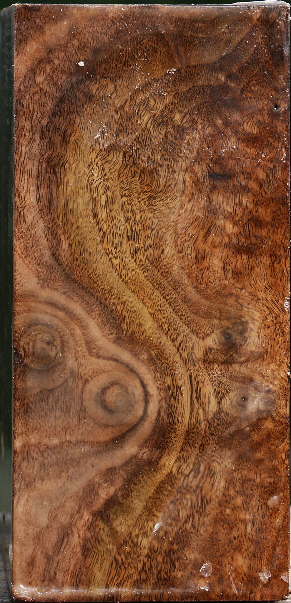 Claro Walnut Bowl Blank