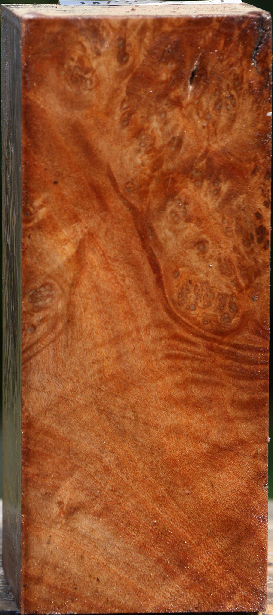 Madrone Burl Turning Square