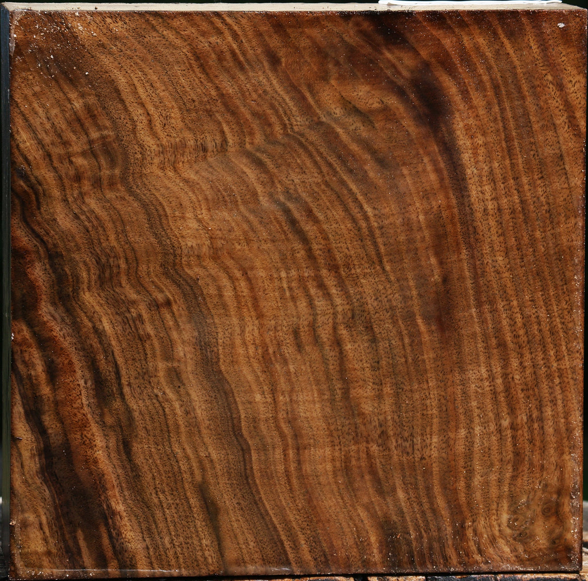 Figured Claro Walnut Bowl Blank