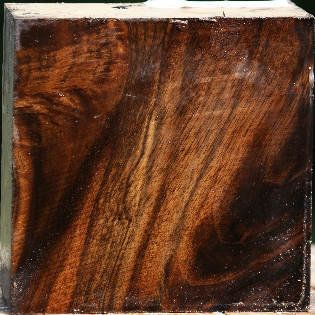 Extra Fancy Claro Walnut Bowl Blank