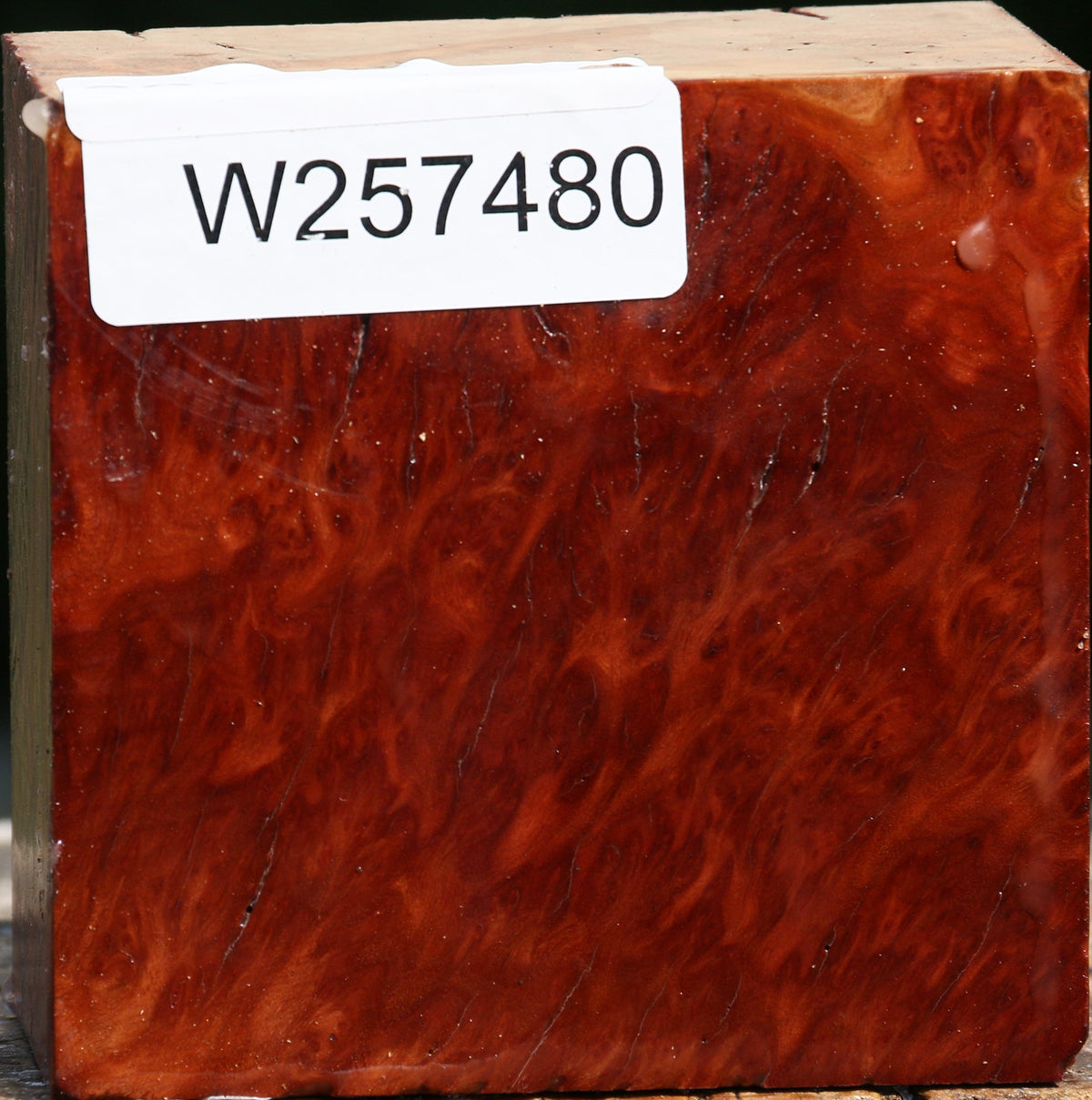 Red Gum Burl Bowl Blank