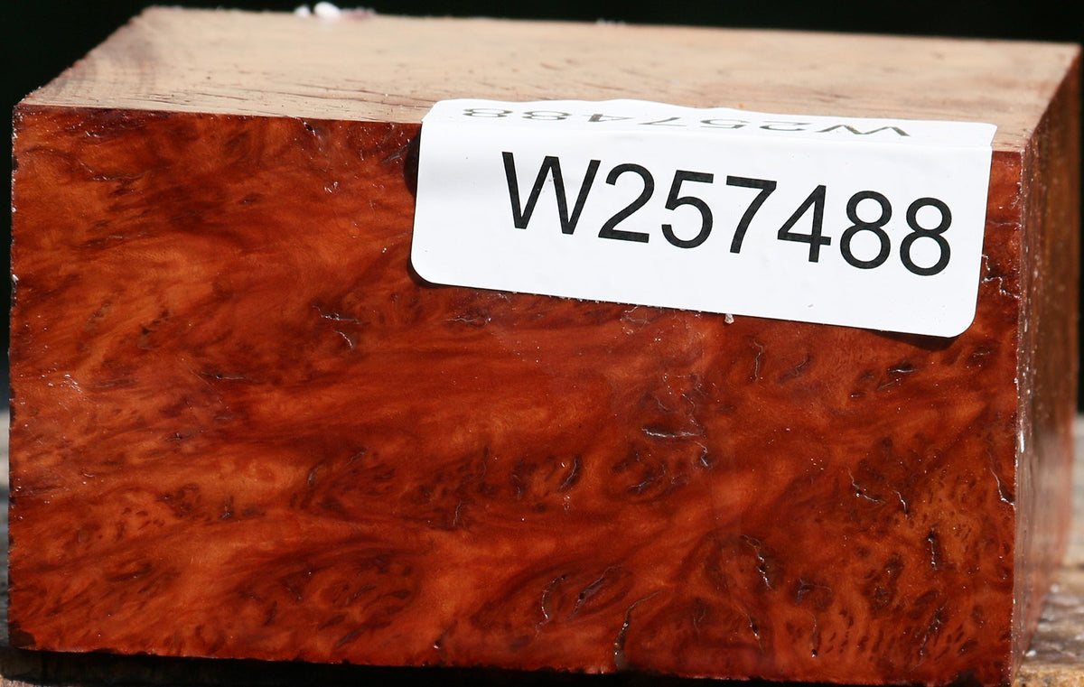 Red Coolibah Burl Bowl Blank