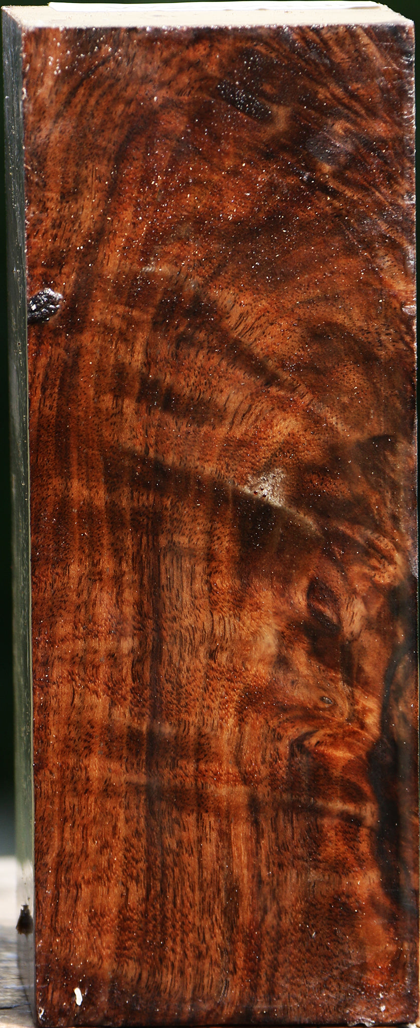 Extra Fancy Claro Walnut Turning Square