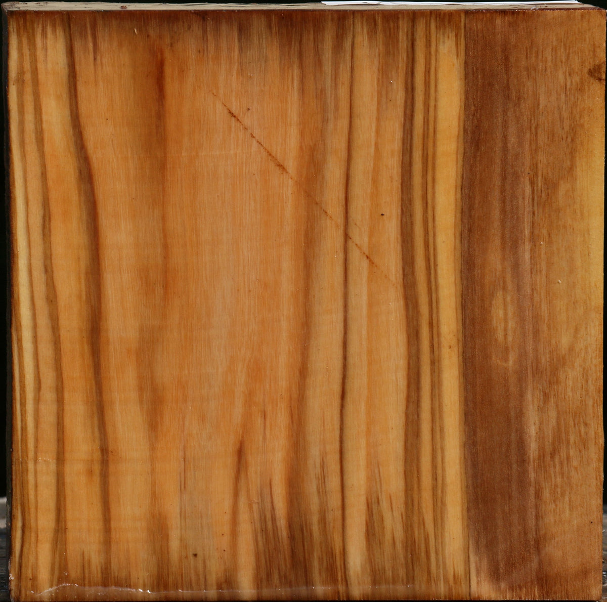 Italian Olive Bowl Blank