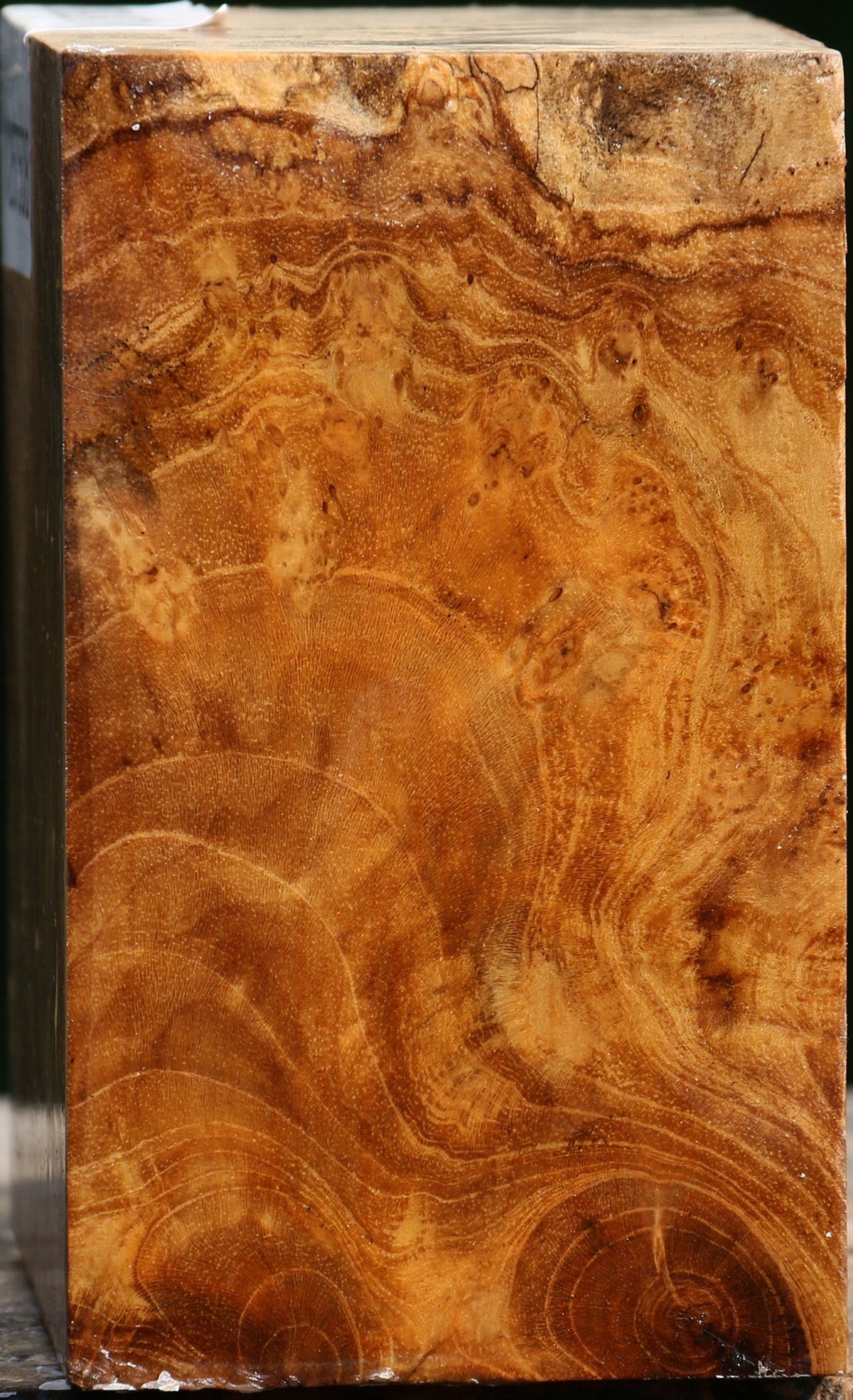 Teak Burl Bowl Blank