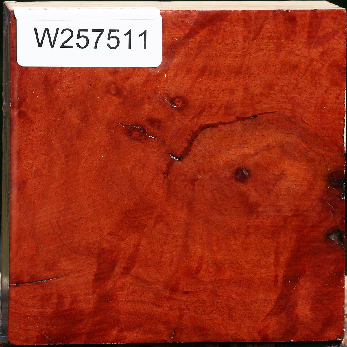 Red Coolibah Bowl Blank