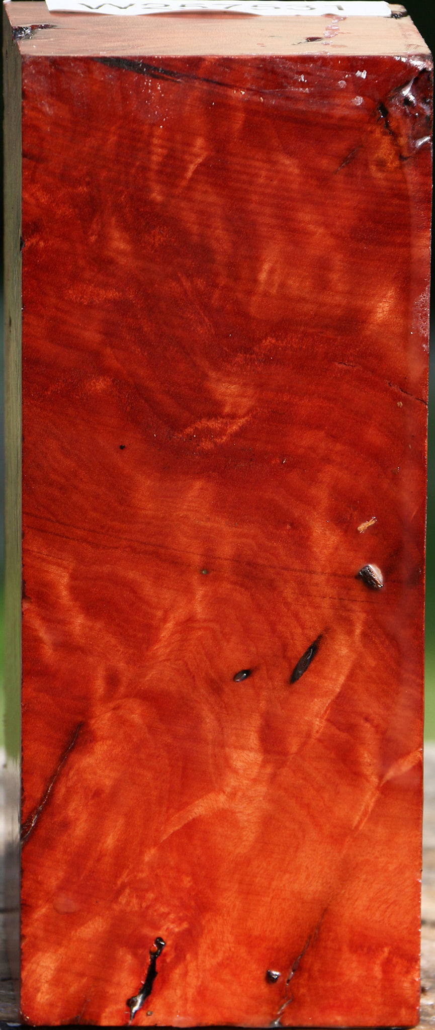 Red Coolibah Turning Square
