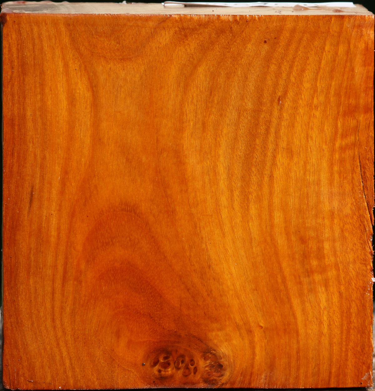 Pernambuco Bowl Blank