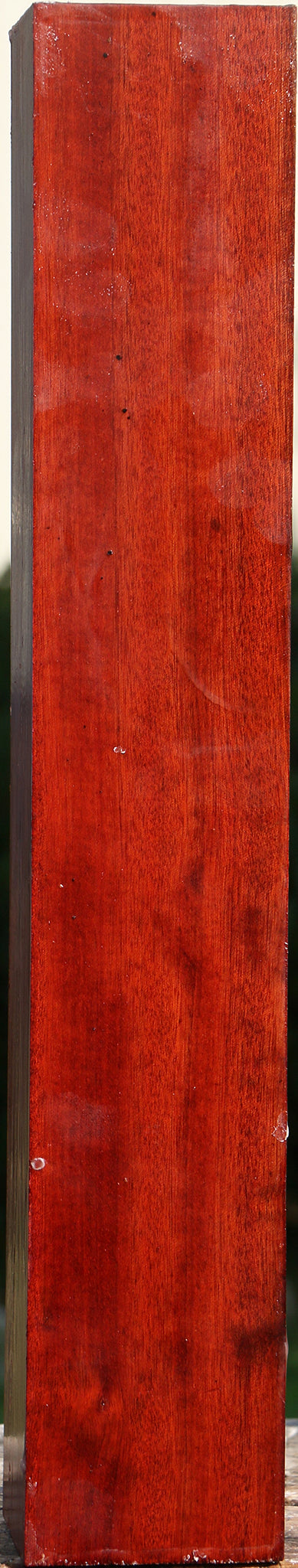Bloodwood Peppermill