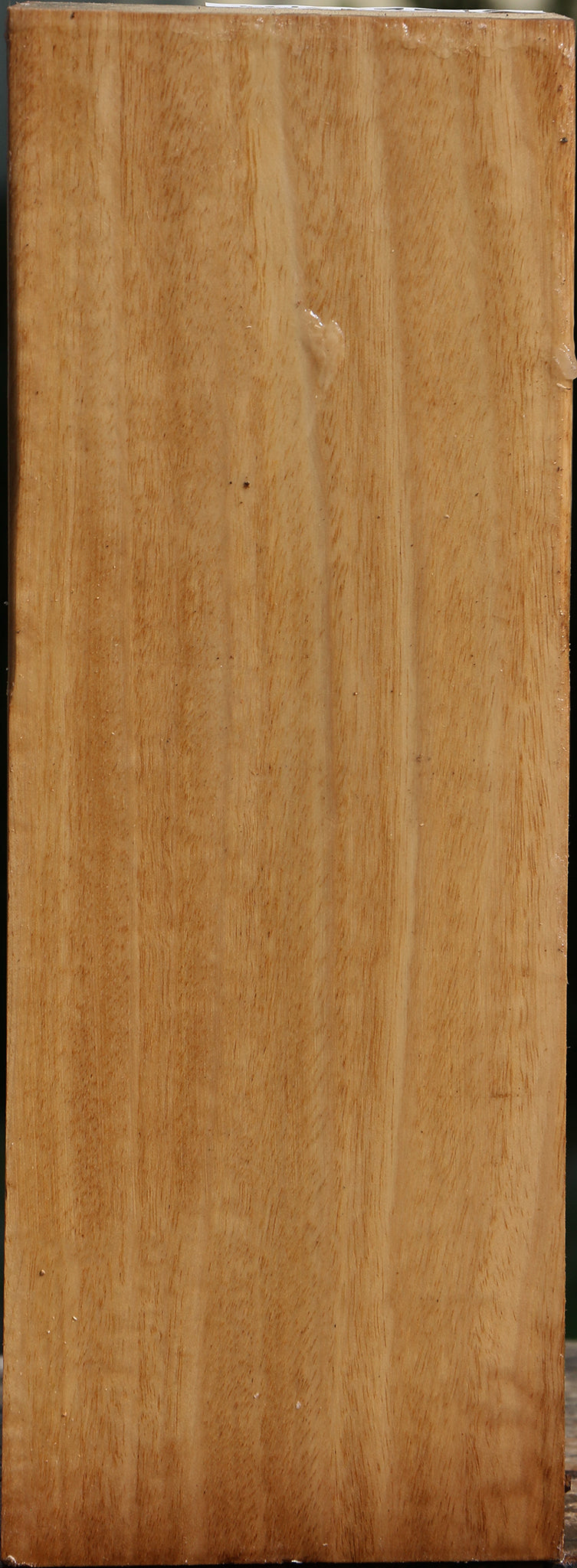 Eucalyptus Vessel Blank