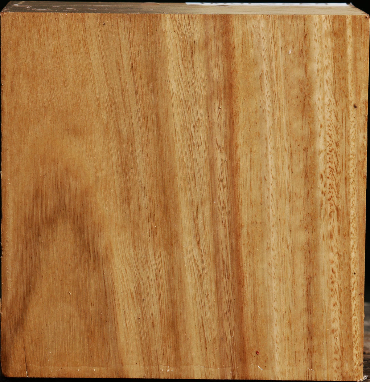Eucalyptus Bowl Blank