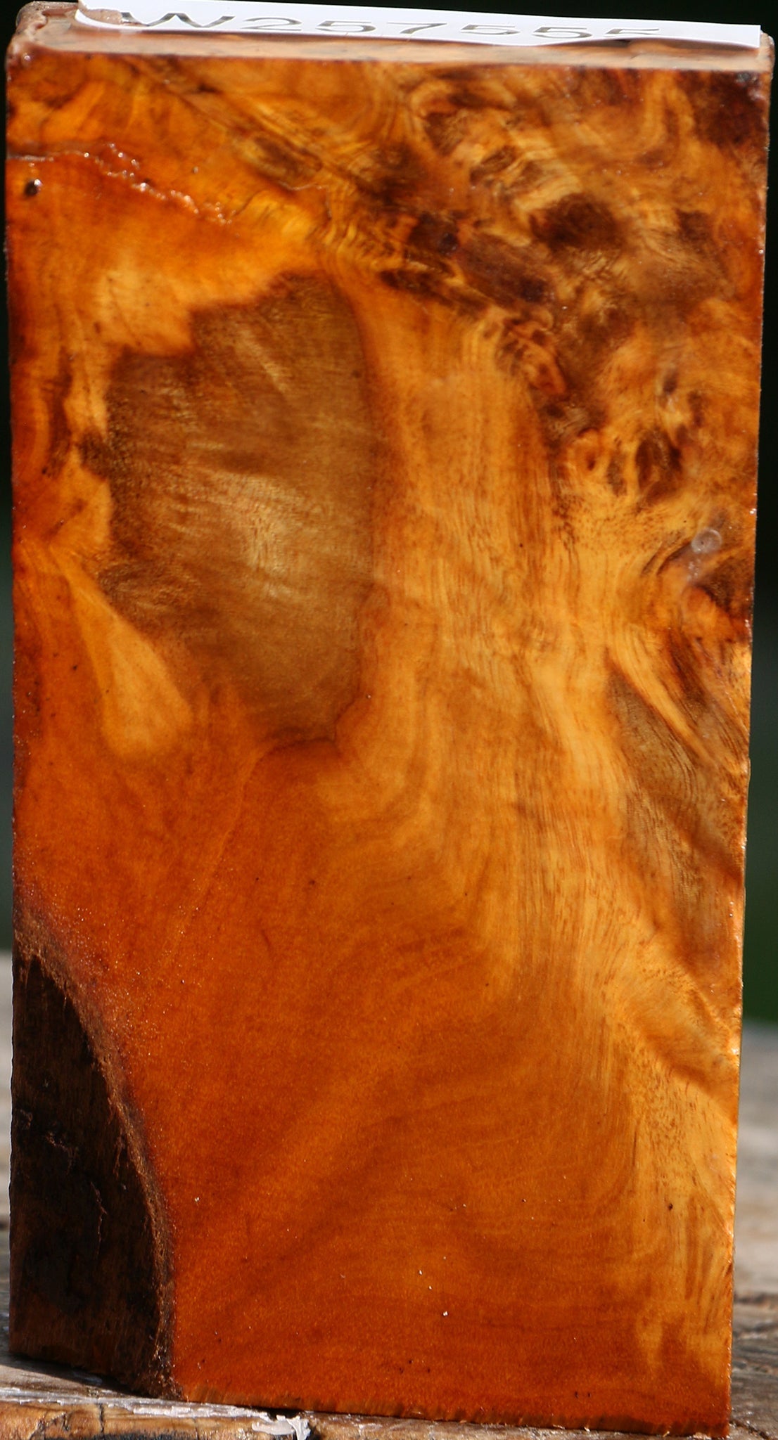 Pernambuco Burl Turning Blank
