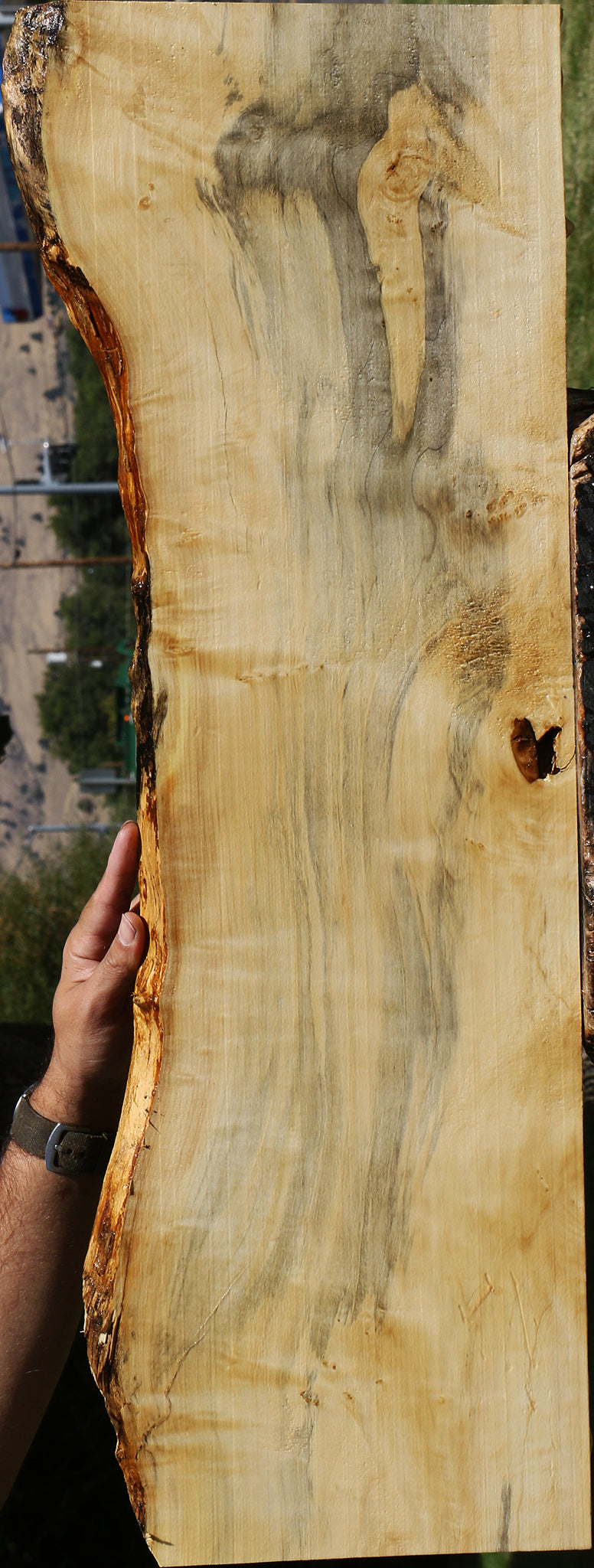 Figured Box Elder Live Edge Lumber