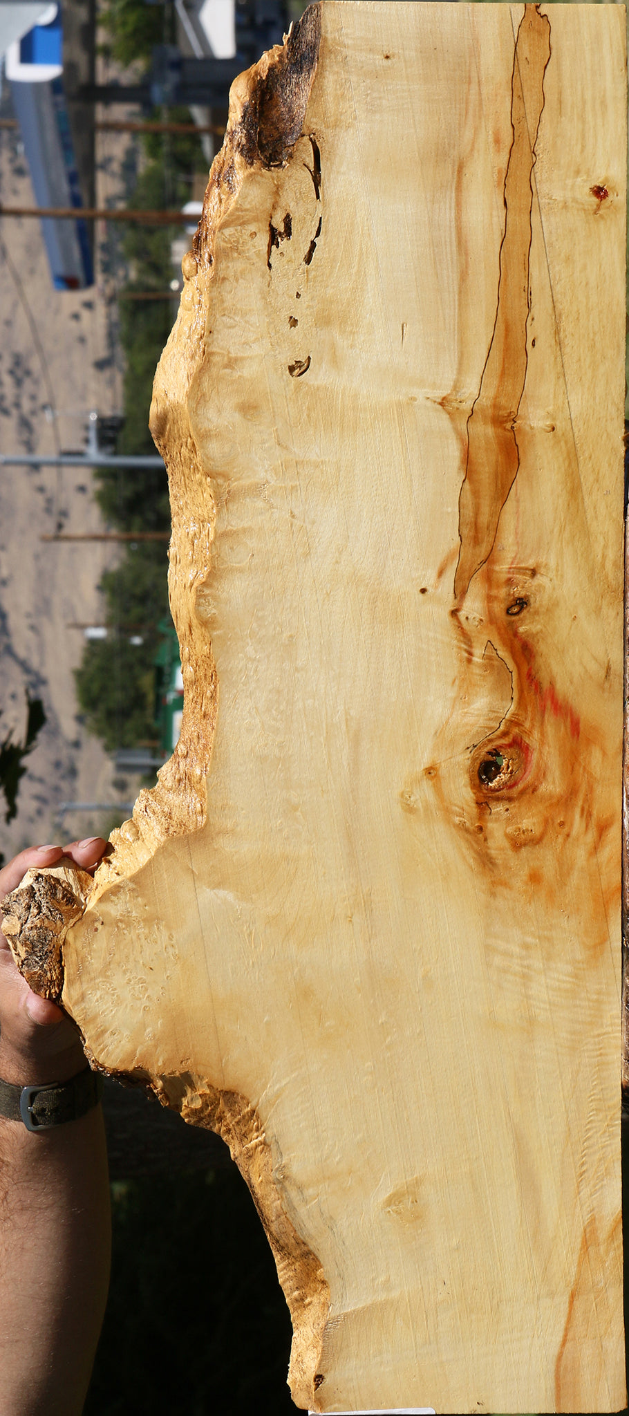 Figured Box Elder Live Edge Lumber