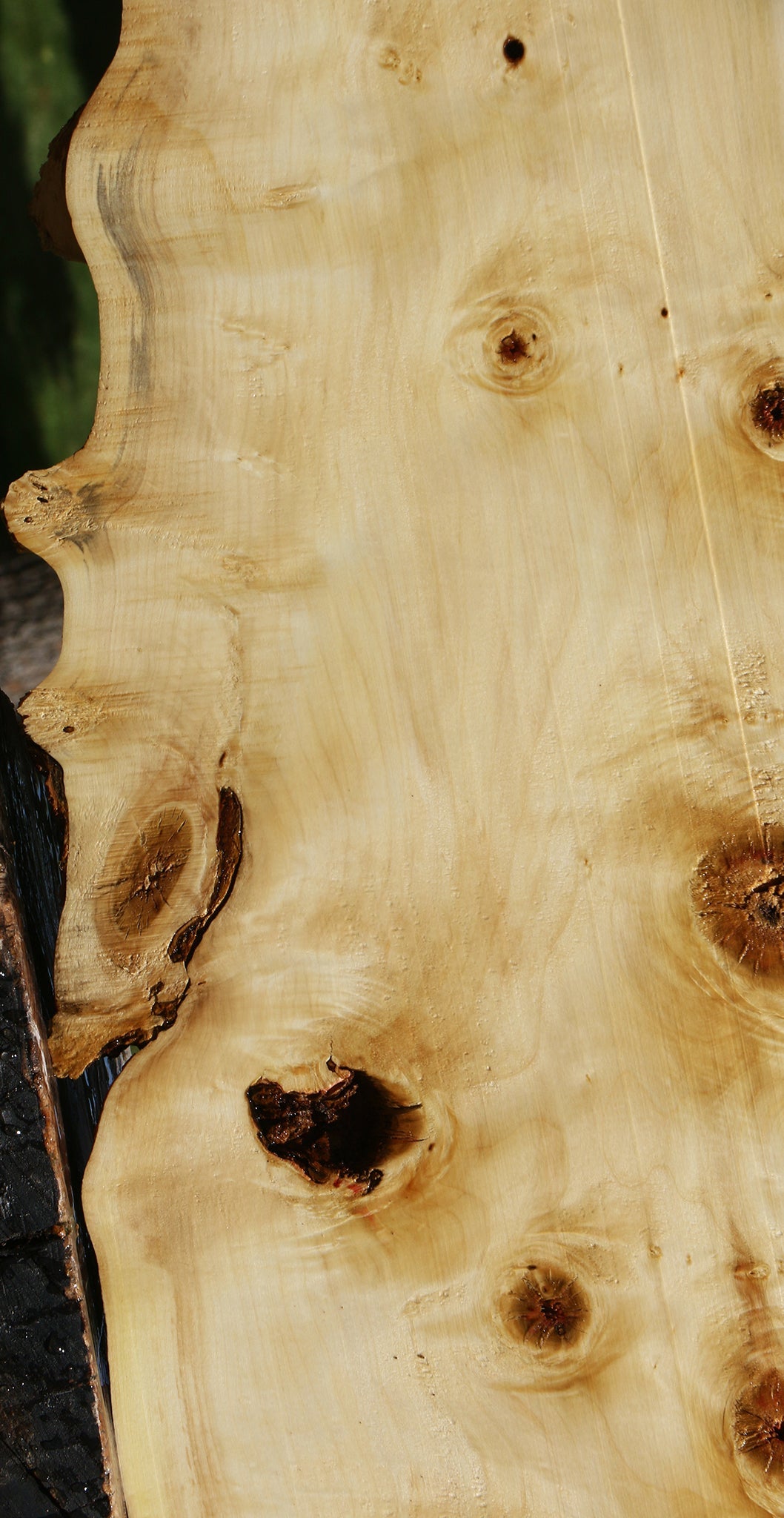 Figured Rustic Box Elder Live Edge Lumber