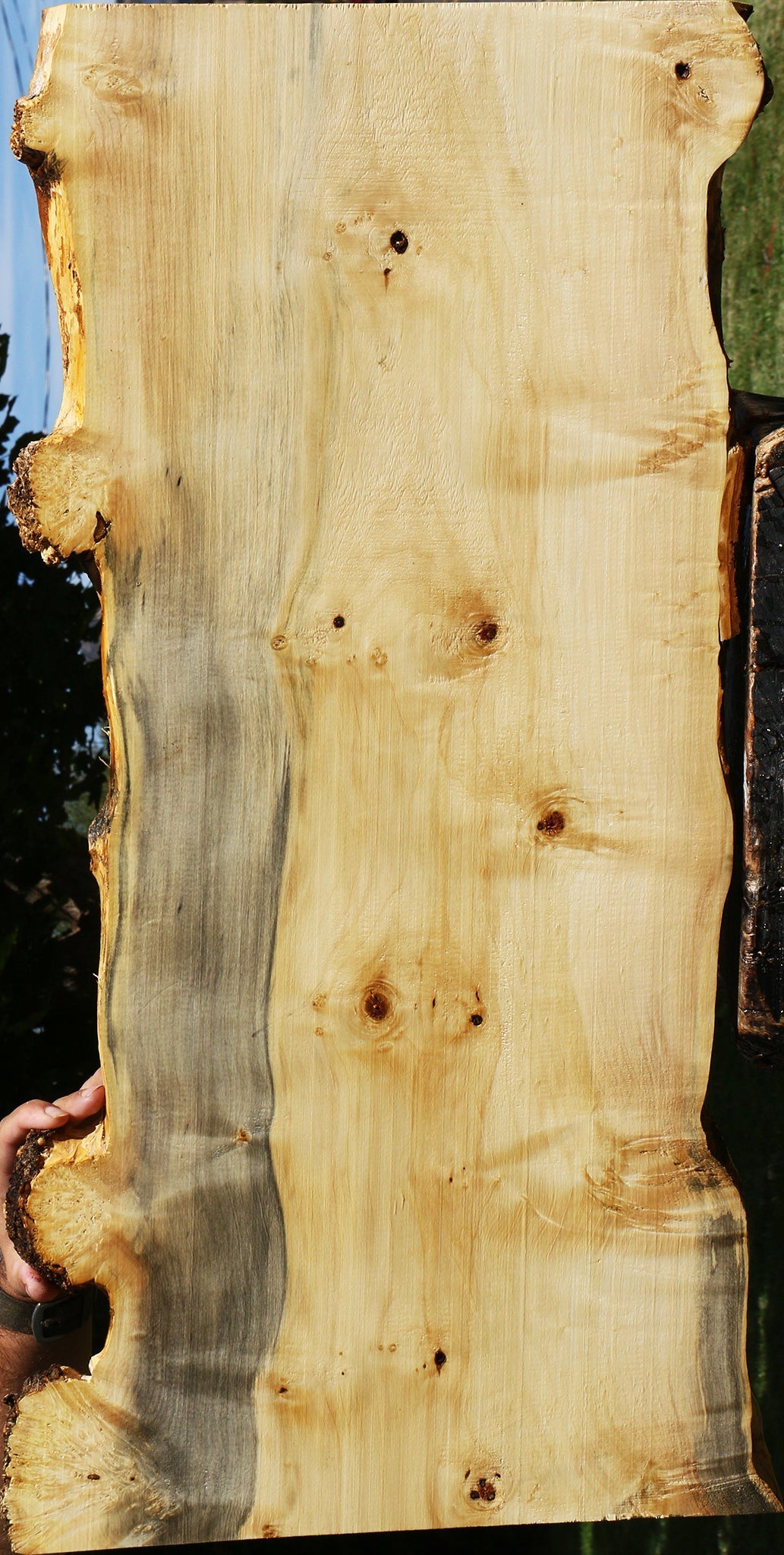 Box Elder Live Edge Lumber