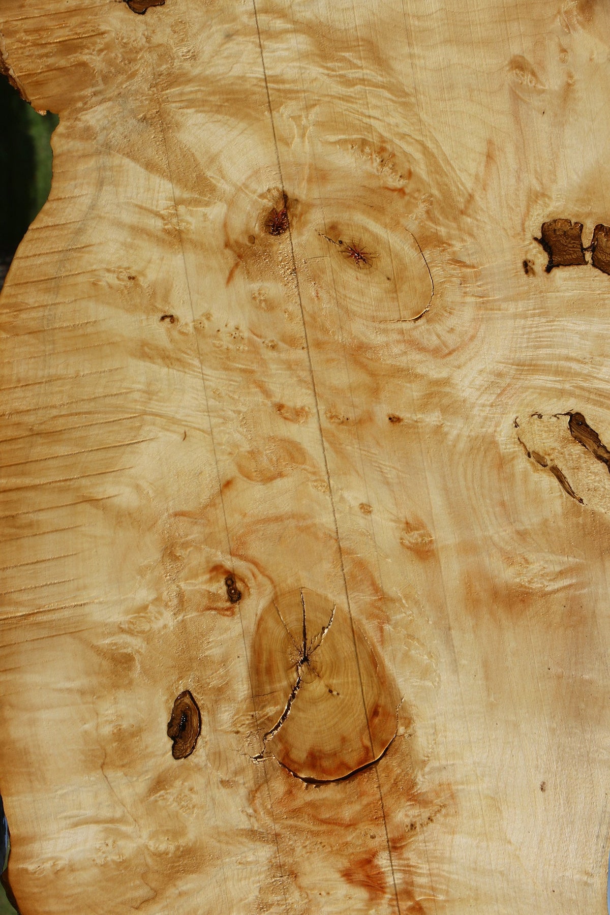 Extra Fancy Rustic Box Elder Live Edge Lumber