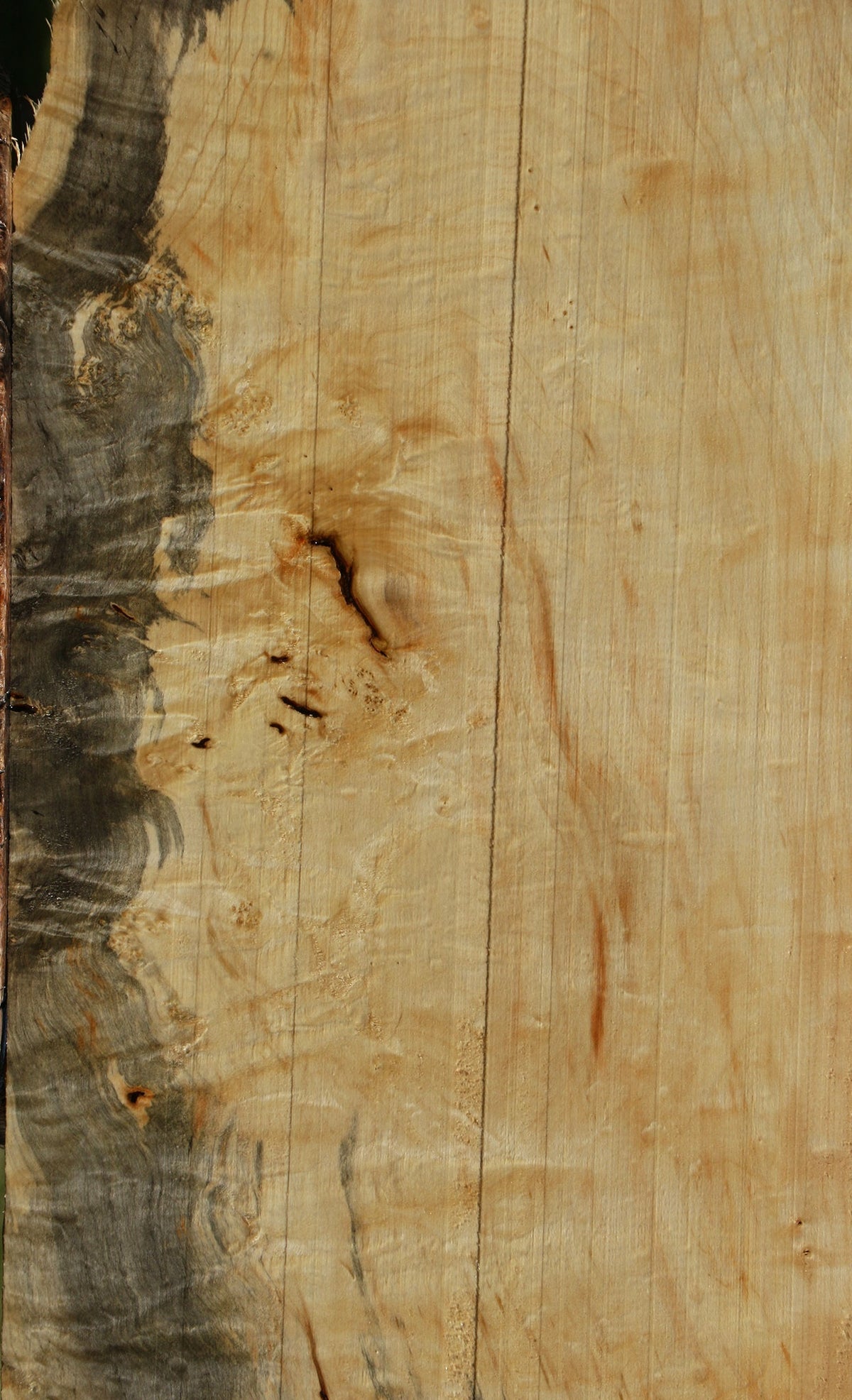 Extra Fancy Box Elder Lumber