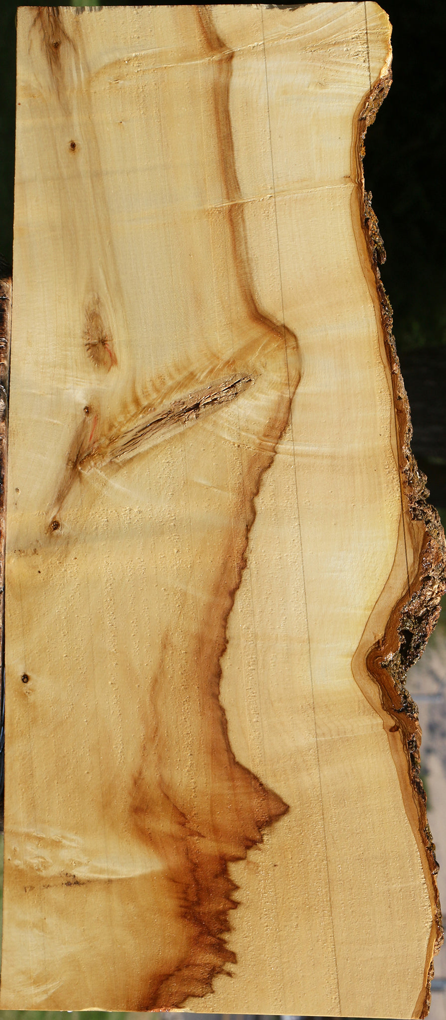 Figured Box Elder Live Edge Lumber